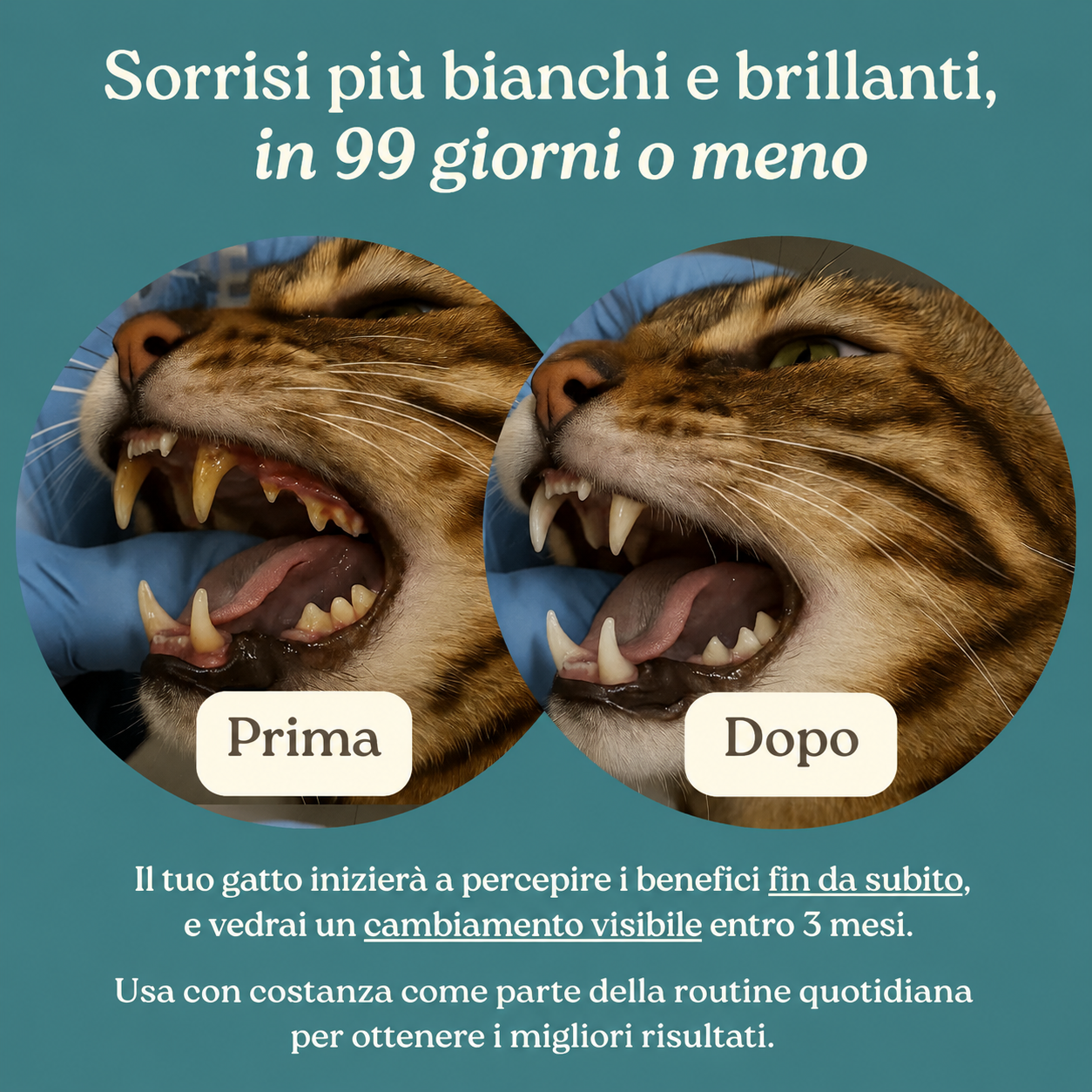 MusoFelice™ - Formula Dentale Avanzata