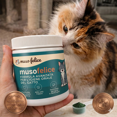 MusoFelice™ - Formula Dentale Avanzata