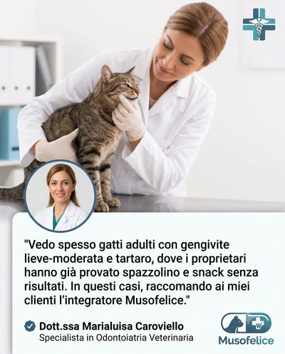 MusoFelice™ - Formula Dentale Avanzata